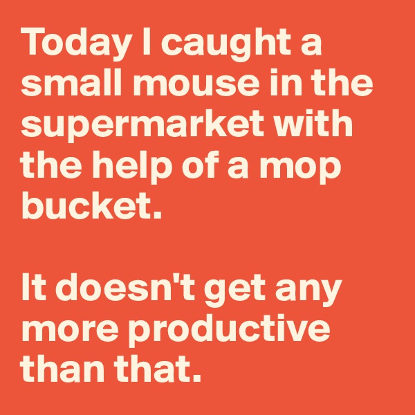 Today I caught a small mouse in the supermarket with the help of a mop bucket. 

It doesn't get any more productive than that. 