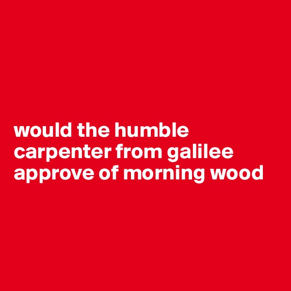




would the humble carpenter from galilee approve of morning wood




