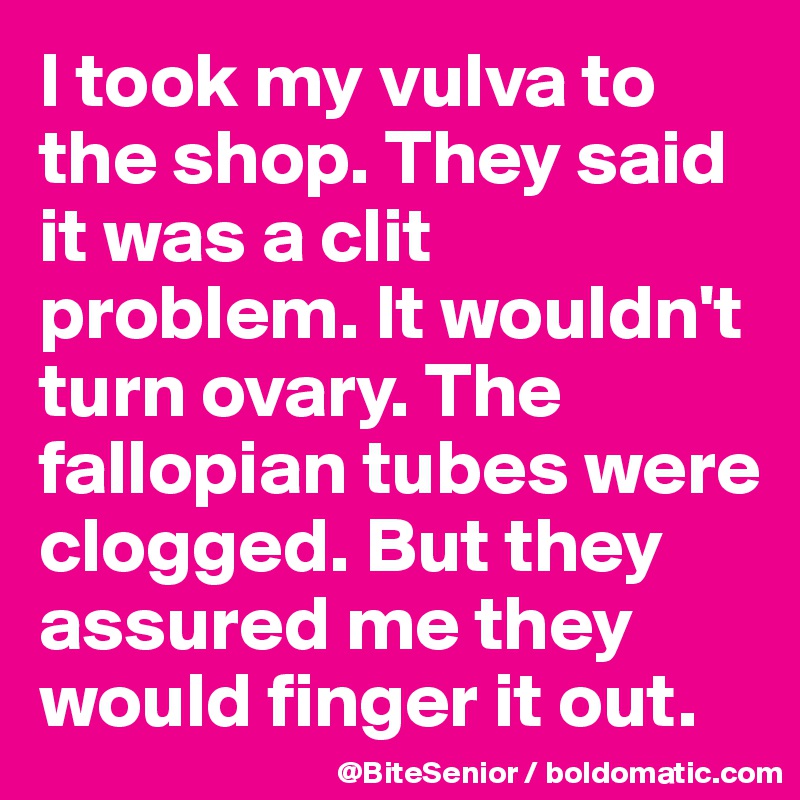 I took my vulva to the shop. They said it was a clit problem. It wouldn't turn ovary. The fallopian tubes were clogged. But they assured me they would finger it out.