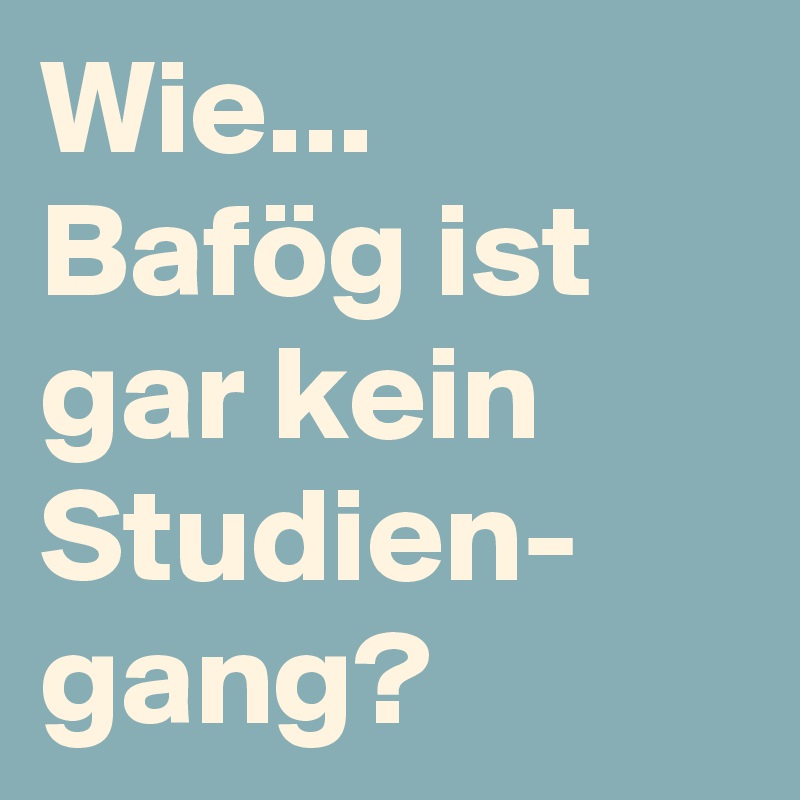 Wie... 
Bafög ist gar kein Studien- gang?