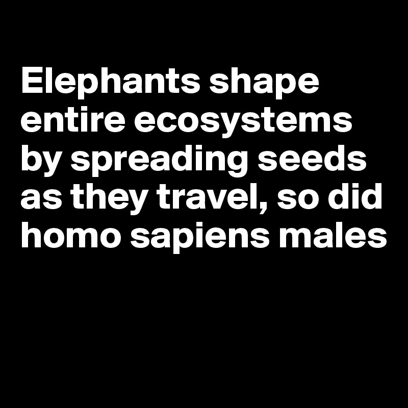 Elephants shape entire ecosystems by spreading seeds as they travel, so