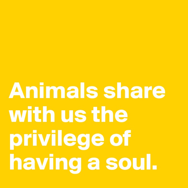 


Animals share with us the privilege of having a soul. 