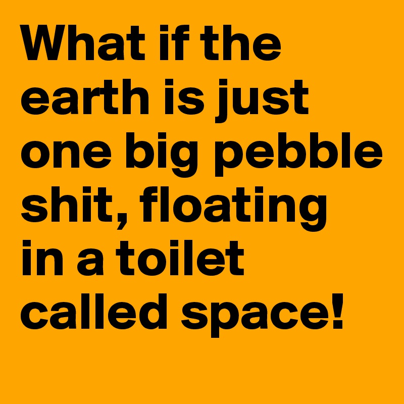 What if the earth is just one big pebble shit, floating in a toilet called space!