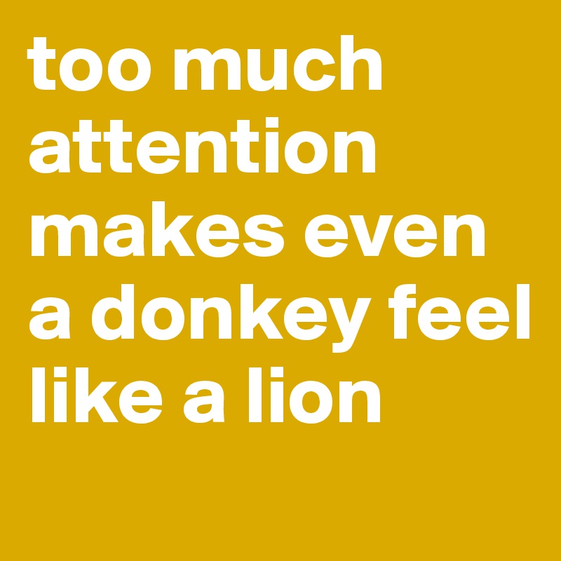 too much attention makes even a donkey feel like a lion