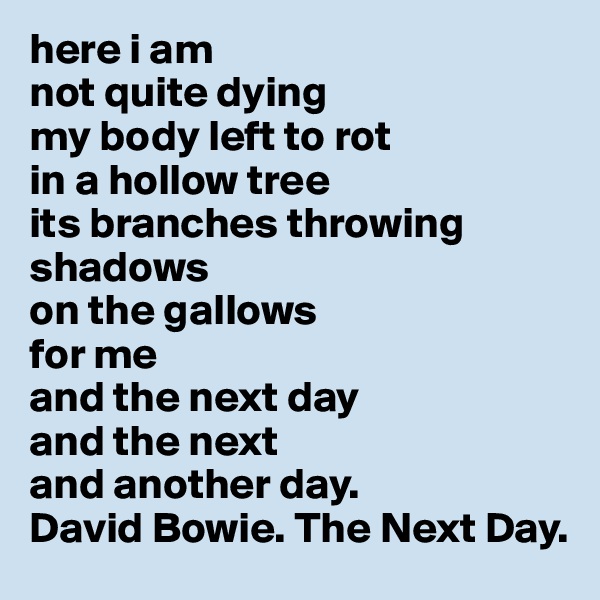 here i am
not quite dying
my body left to rot
in a hollow tree
its branches throwing shadows
on the gallows
for me
and the next day
and the next
and another day.
David Bowie. The Next Day.