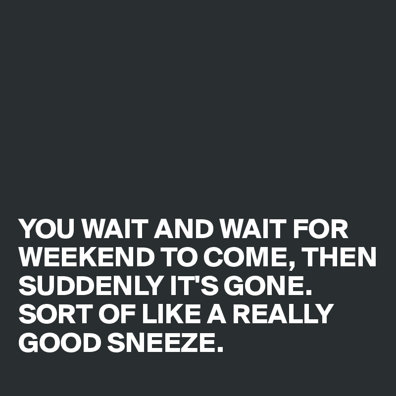 






YOU WAIT AND WAIT FOR  WEEKEND TO COME, THEN SUDDENLY IT'S GONE.
SORT OF LIKE A REALLY GOOD SNEEZE.