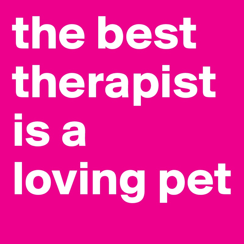 the best therapist is a loving pet