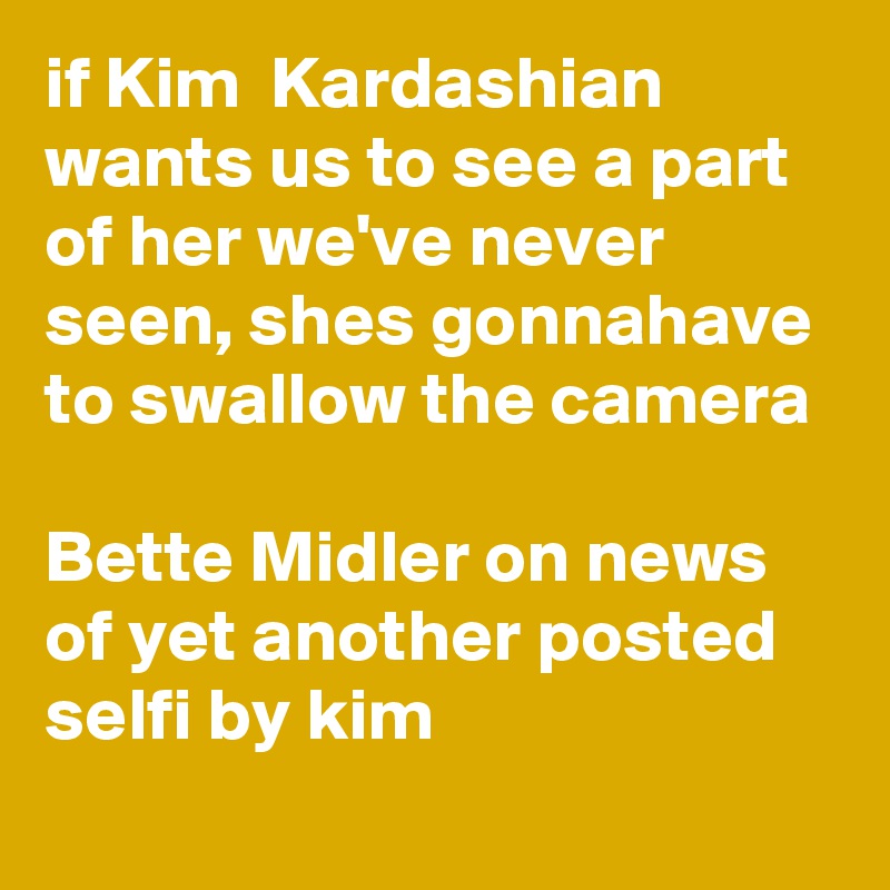 if Kim  Kardashian wants us to see a part of her we've never seen, shes gonnahave to swallow the camera

Bette Midler on news of yet another posted selfi by kim