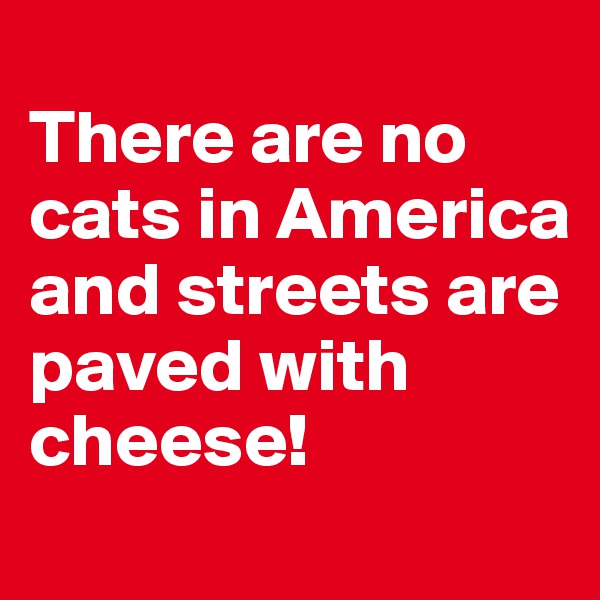 
There are no cats in America and streets are paved with cheese! 