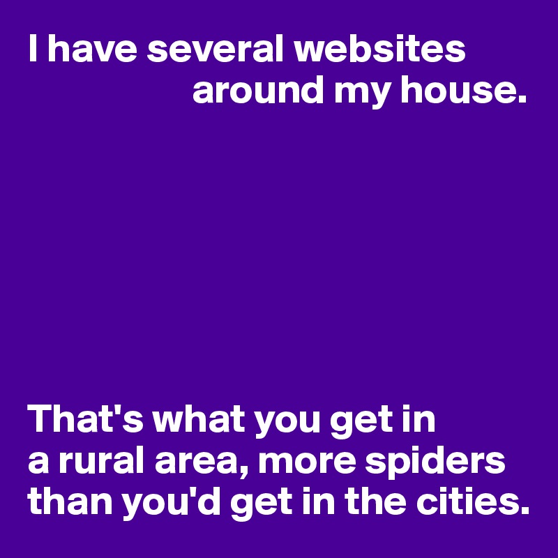 I have several websites 
                    around my house.







That's what you get in 
a rural area, more spiders than you'd get in the cities.