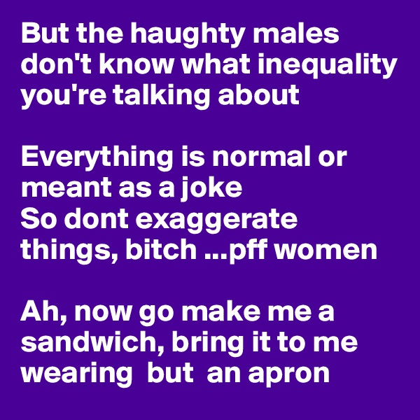 But the haughty males don't know what inequality you're talking about

Everything is normal or meant as a joke
So dont exaggerate things, bitch ...pff women  

Ah, now go make me a sandwich, bring it to me wearing  but  an apron