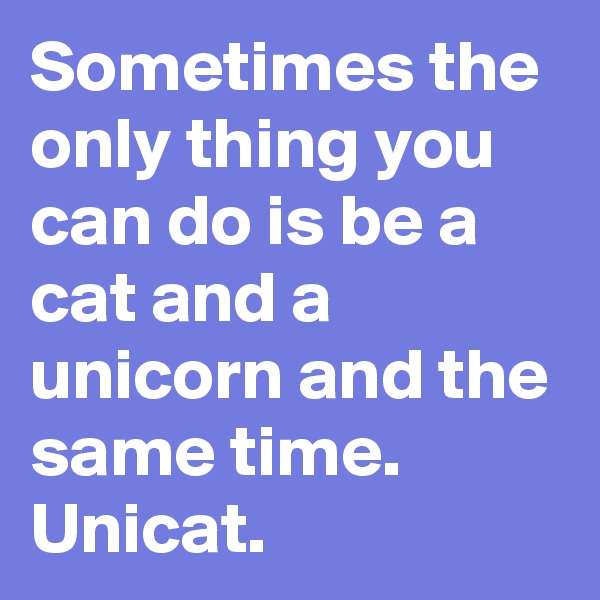 Sometimes the only thing you can do is be a cat and a unicorn and the same time. Unicat. 