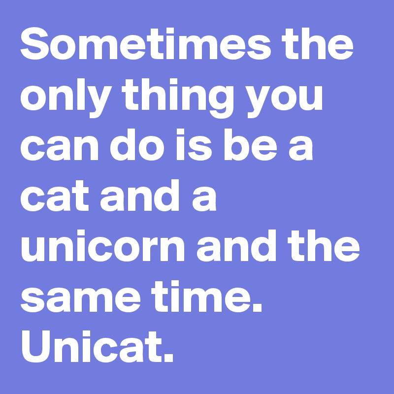 Sometimes the only thing you can do is be a cat and a unicorn and the same time. Unicat. 