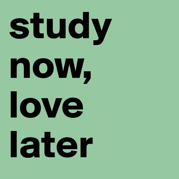 study now, love later