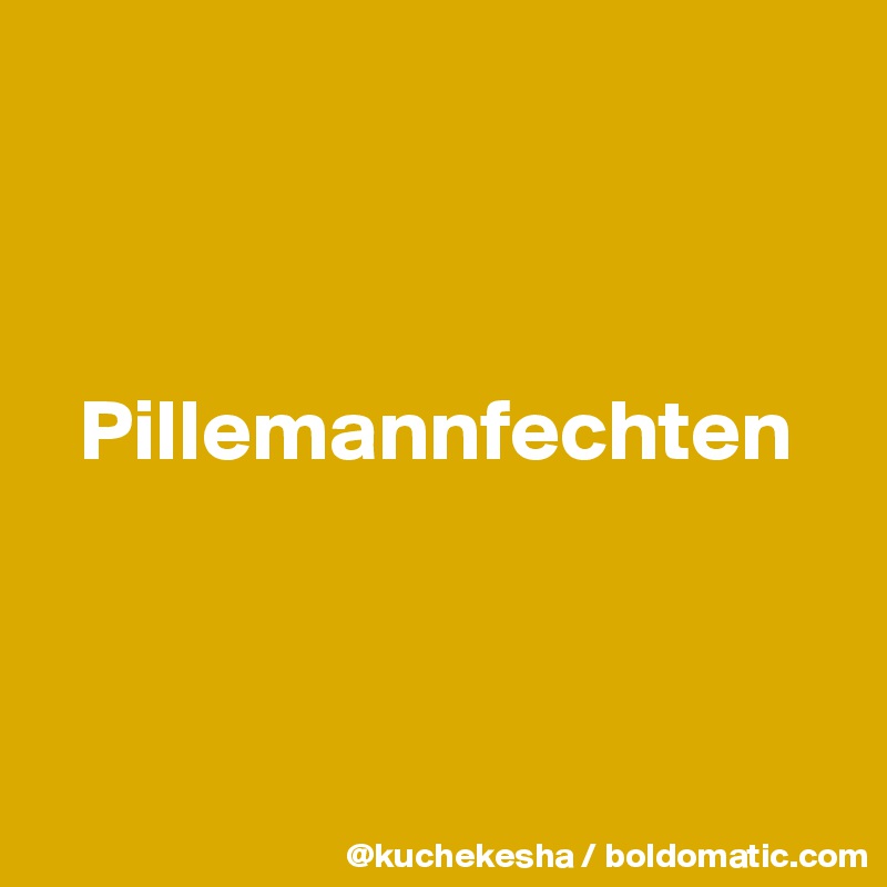 



  Pillemannfechten



