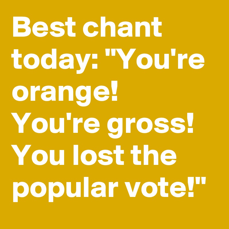 Best chant today: "You're orange! You're gross! You lost the popular vote!"