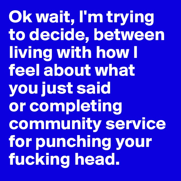 Ok wait, I'm trying to decide, between living with how I feel about what 
you just said 
or completing community service for punching your fucking head. 