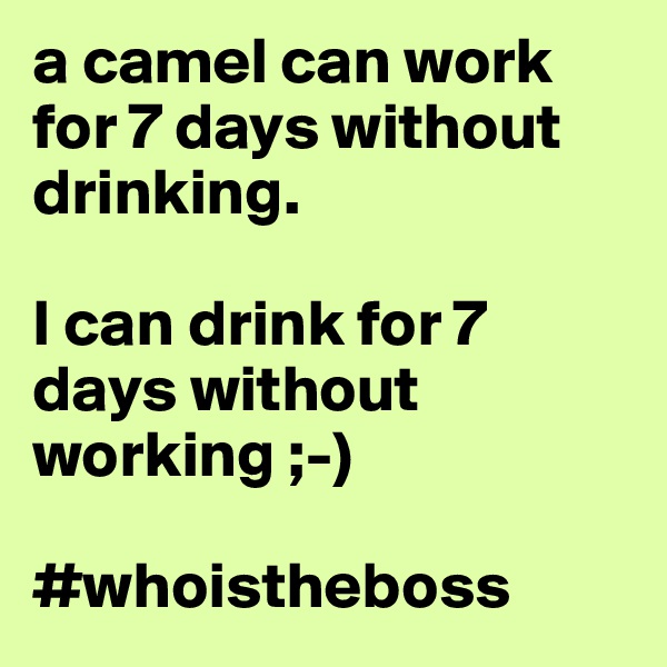 a camel can work for 7 days without drinking.

I can drink for 7 days without working ;-)

#whoistheboss