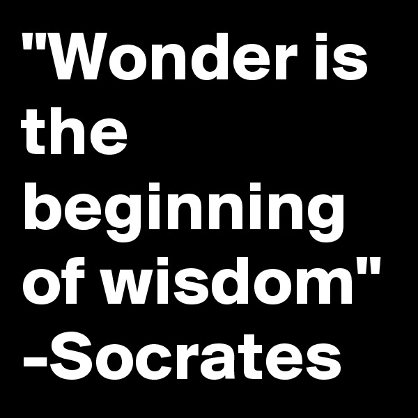"Wonder is the beginning of wisdom"
-Socrates