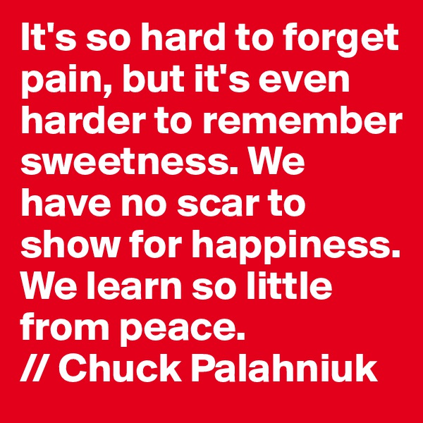 It's so hard to forget pain, but it's even harder to remember sweetness. We have no scar to show for happiness. We learn so little from peace.
// Chuck Palahniuk