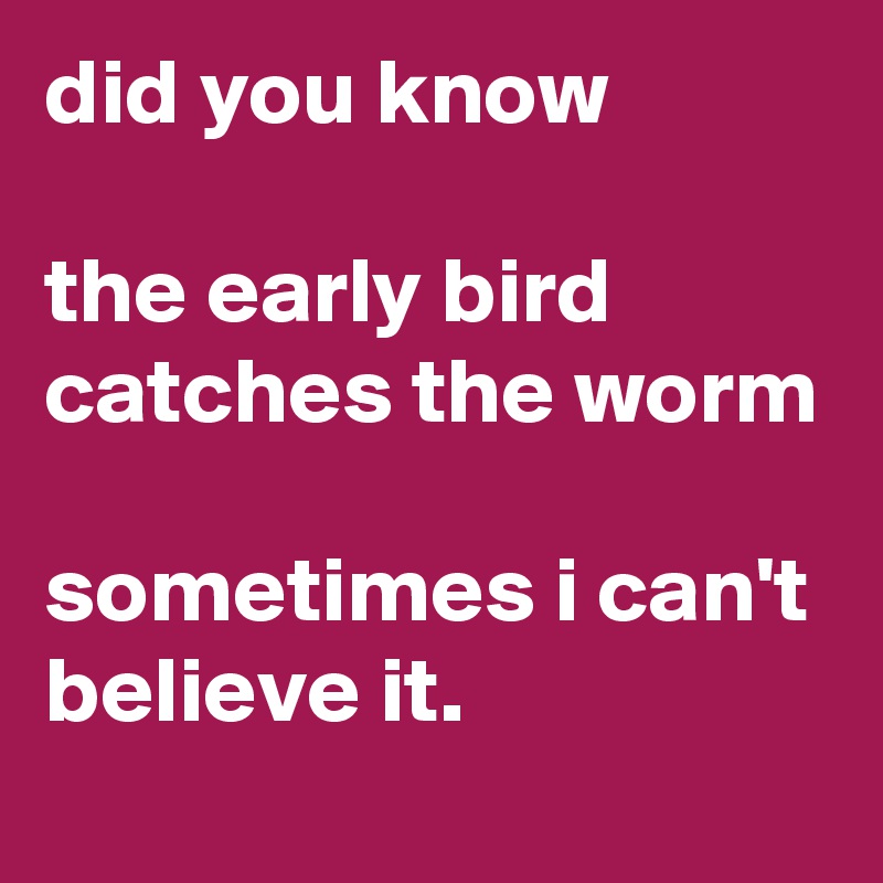 did you know

the early bird catches the worm

sometimes i can't believe it.