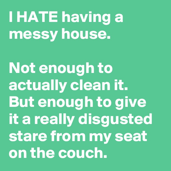 I HATE having a messy house.

Not enough to actually clean it.
But enough to give it a really disgusted stare from my seat on the couch.