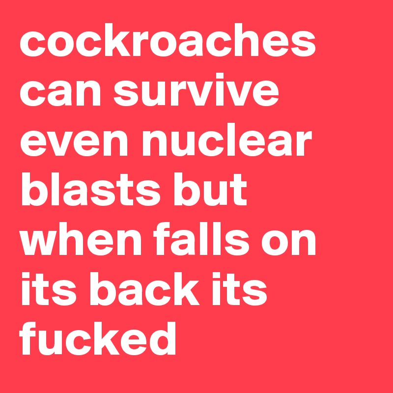 cockroaches can survive even nuclear blasts but when falls on its back its fucked 