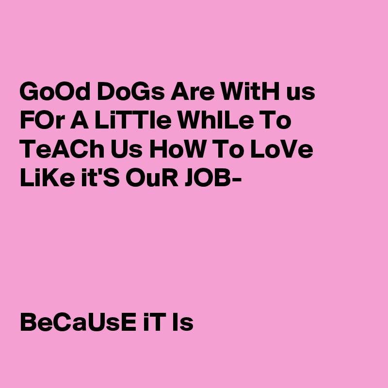 

GoOd DoGs Are WitH us FOr A LiTTle WhILe To
TeACh Us HoW To LoVe LiKe it'S OuR JOB-




BeCaUsE iT Is
