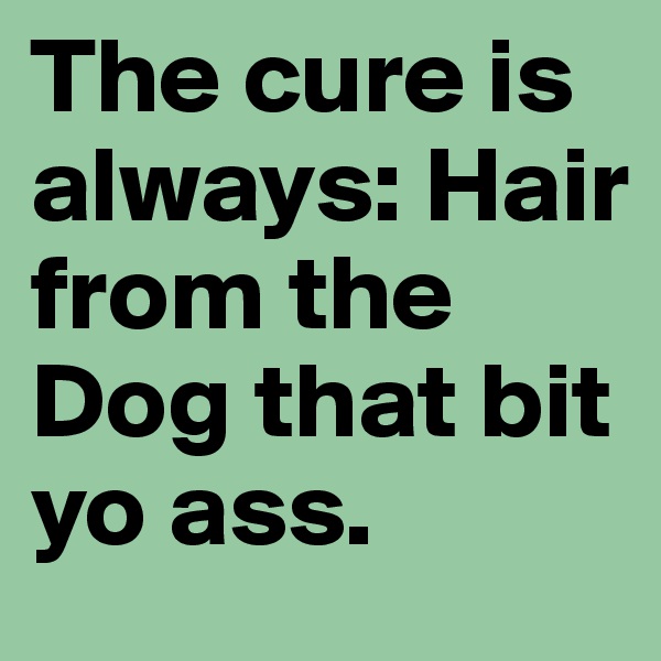 The cure is always: Hair from the Dog that bit yo ass. 