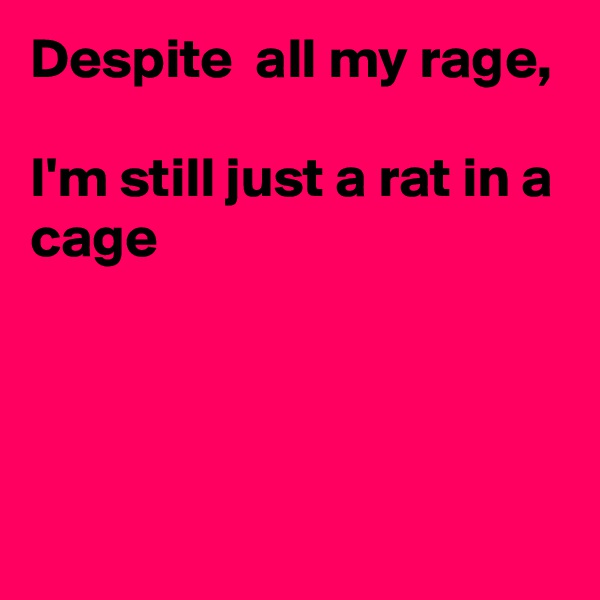 Despite  all my rage,

I'm still just a rat in a cage



