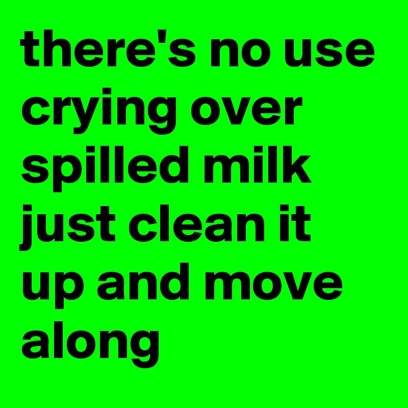 there's no use crying over spilled milk just clean it up and move along