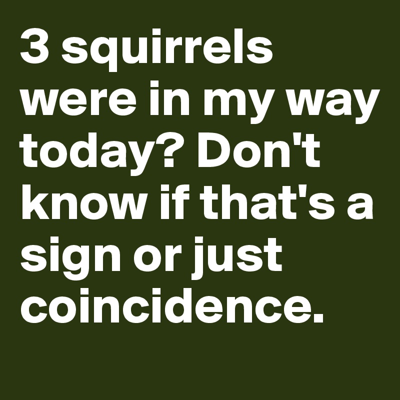 3 squirrels were in my way today? Don't know if that's a sign or just coincidence.