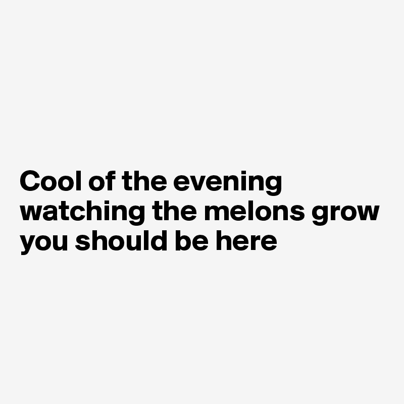 




Cool of the evening
watching the melons grow
you should be here



