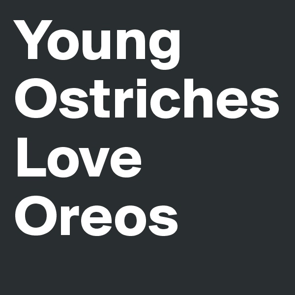 Young Ostriches           Love
Oreos                               