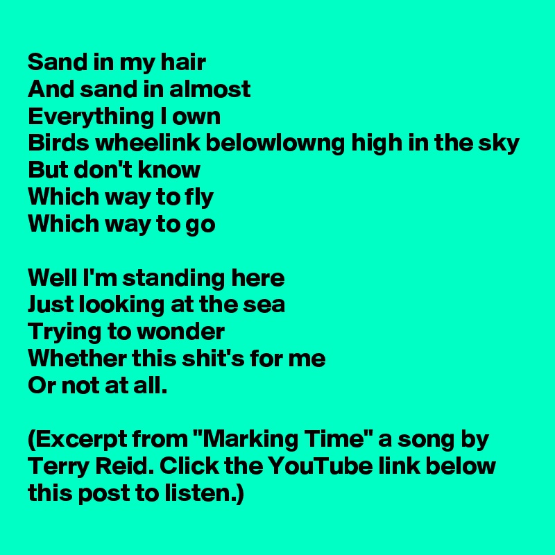 Sand in my hair
And sand in almost
Everything I own
Birds wheelink belowlowng high in the sky
But don't know
Which way to fly
Which way to go

Well I'm standing here
Just looking at the sea
Trying to wonder
Whether this shit's for me
Or not at all.

(Excerpt from "Marking Time" a song by Terry Reid. Click the YouTube link below this post to listen.)
