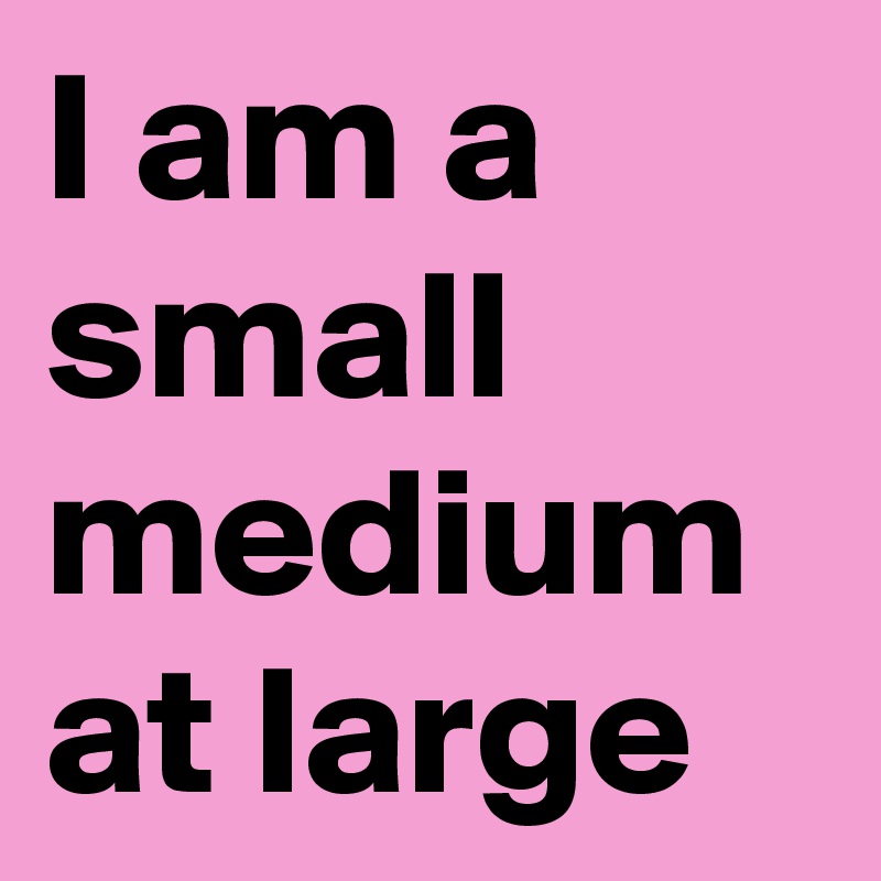 I am a small medium at large