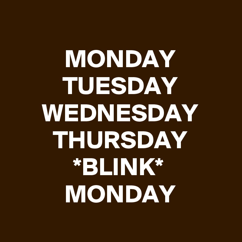 
MONDAY
TUESDAY
WEDNESDAY
THURSDAY
*BLINK*
MONDAY
