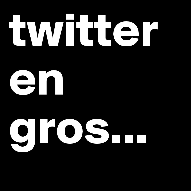 twitter     en gros...