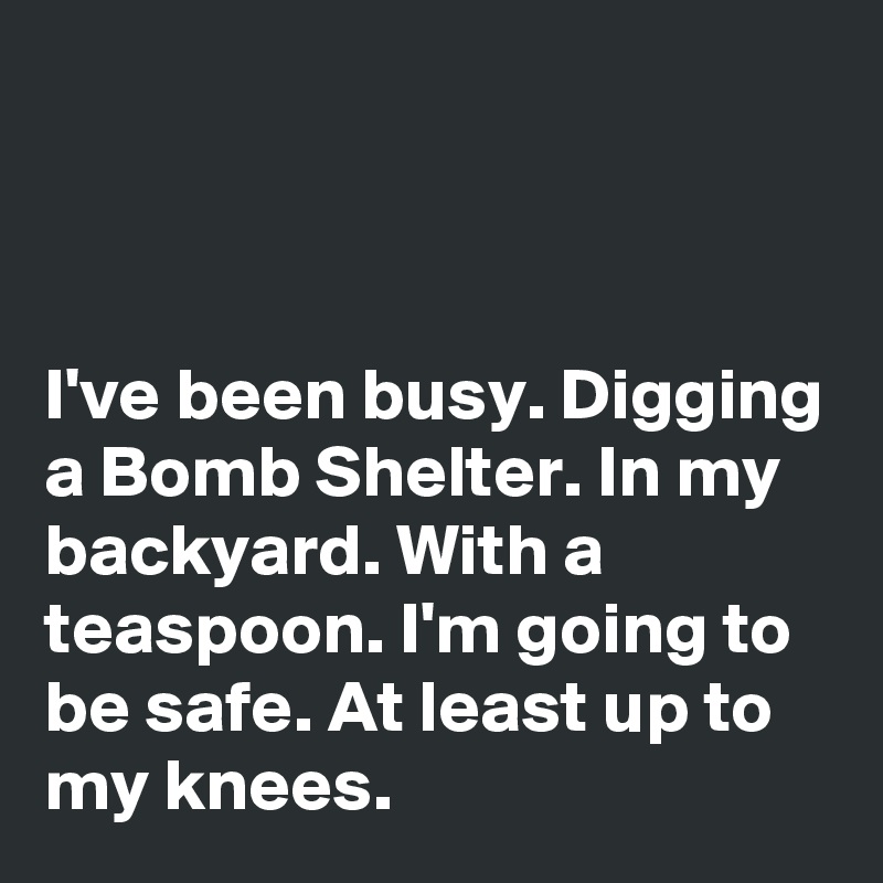 



I've been busy. Digging a Bomb Shelter. In my backyard. With a teaspoon. I'm going to be safe. At least up to my knees. 