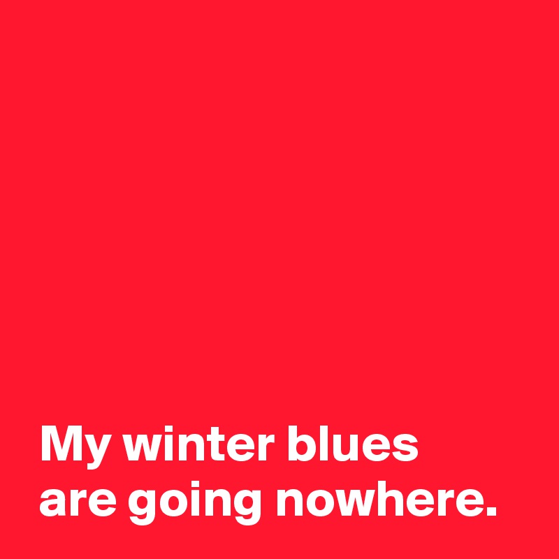 






 My winter blues 
 are going nowhere.