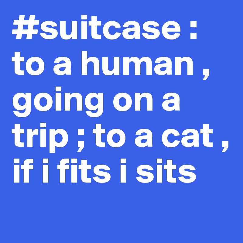 #suitcase : to a human ,  going on a trip ; to a cat , if i fits i sits
