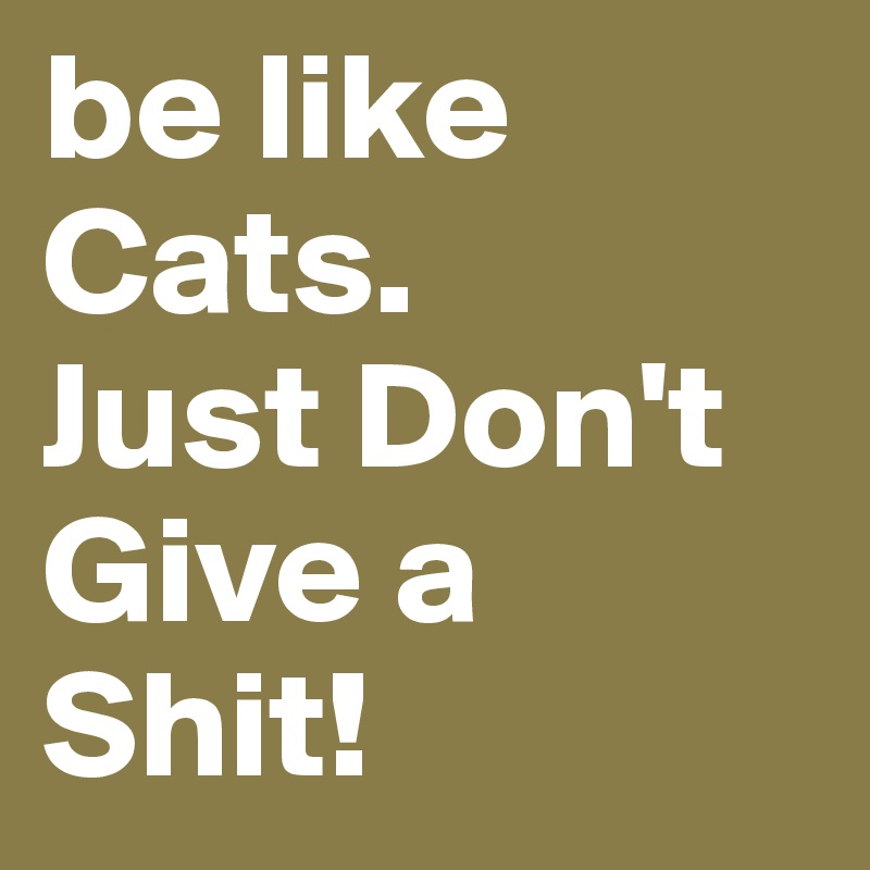 be like Cats. 
Just Don't Give a Shit!