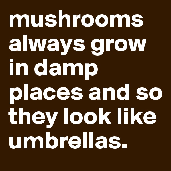 mushrooms always grow in damp places and so they look like umbrellas. 