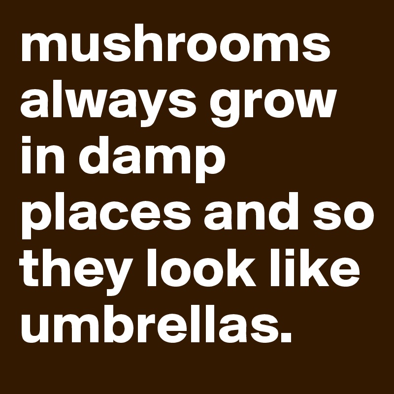 mushrooms always grow in damp places and so they look like umbrellas. 