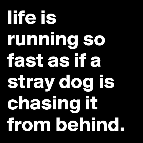 life is running so fast as if a stray dog is chasing it from behind.