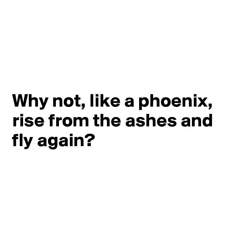 



Why not, like a phoenix, rise from the ashes and fly again?



