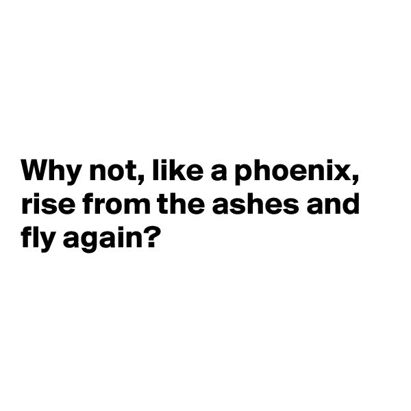 



Why not, like a phoenix, rise from the ashes and fly again?



