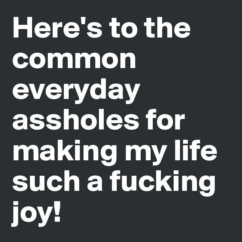 Here's to the common everyday assholes for making my life such a fucking joy!