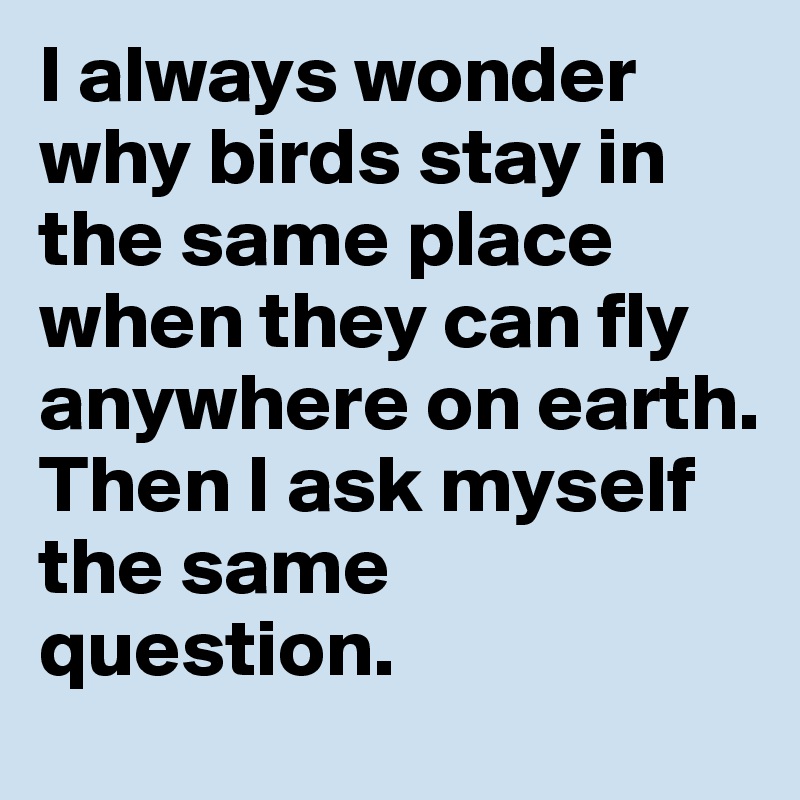 I always wonder why birds stay in the same place when they can fly anywhere on earth.
Then I ask myself the same question.
