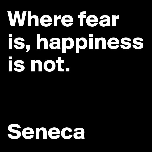 Where fear is, happiness is not.       


Seneca